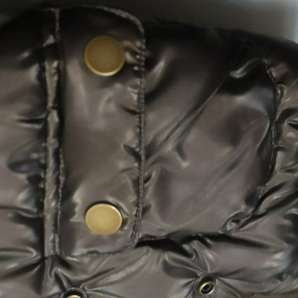 Gap Jacket - Picture 5 of 14
